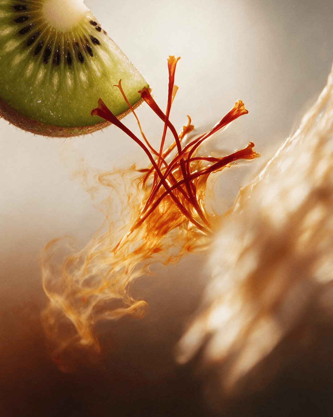 Herbs & Botanicals